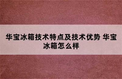 华宝冰箱技术特点及技术优势 华宝冰箱怎么样